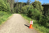 Presidio Trail Run - Trail last leg