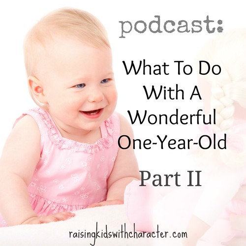 What To Do With A Wonderful One Year Old Part II