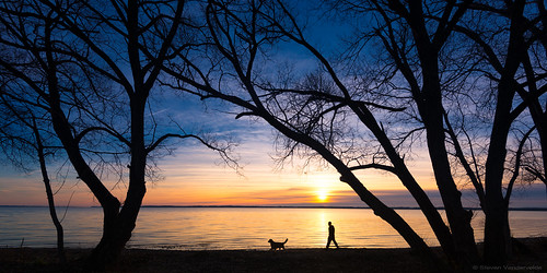 trees sunset dog man water sunrise mansbestfriend lakeontario