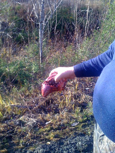 moose jämtland hunt östra älgjakt mårdsjön jaktlaget