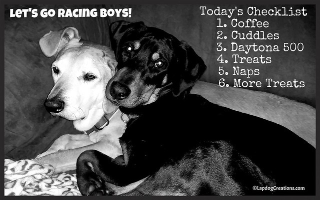 cuddly dogs senior hound mix and puppy Doberman mix #rescueddogs #adoptdontshop ©LapdogCreations