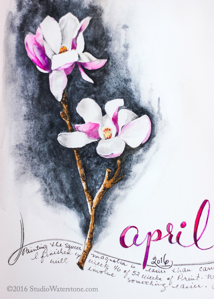 Sketchbook: Magnolia 4/18/16