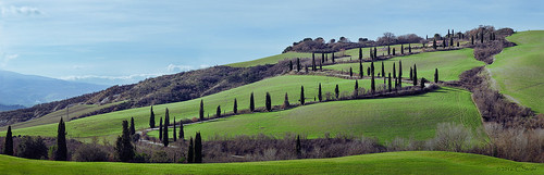 trees winter italy green clouds europe tuscany fields cypress dirtroad montepulciano rollinghills cypresstrees windingroad castelluccio chianciano viacassia lafoce