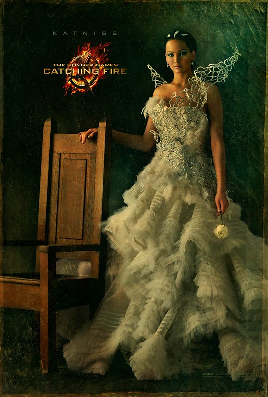 The Hunger Games - Catching Fire - Poster 8