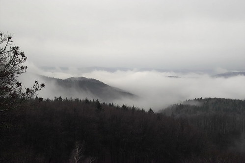 mist misty fog landscape photography nebel sigma franconia franken sd10 reginahoer