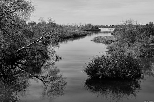 blackandwhite españa naturaleza reflection nature río river landscape 50mm spain nikon outdoor paisaje reflejo tajo silentriver talaveradelareina