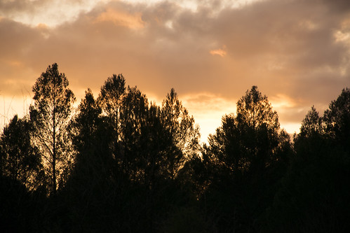 españa spain árboles nubes árbol nube albacete villaverde guadalímar