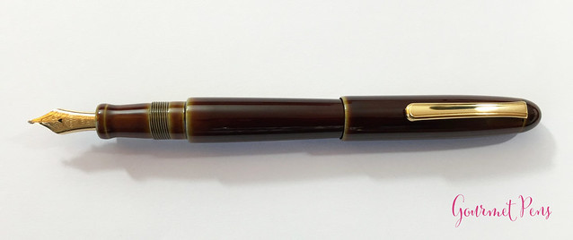 Review Nakaya Cigar Writer Heki-Tamenuri Fountain Pen (15)