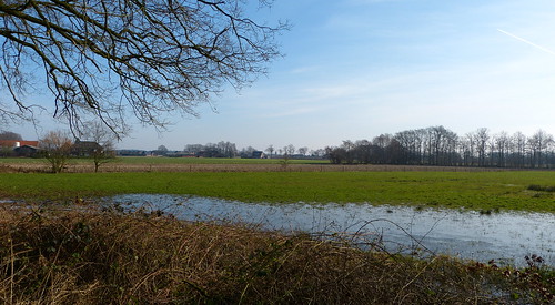 holland netherlands landscape nederland paysage landschaft achterhoek winterswijk landschap gelderland kotten oeding panasonicdmcfz150 1260545