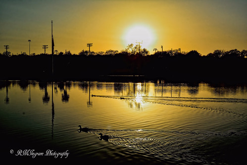 sunsets lastlight texassunsets sunsetphotos nikonphotography ducksatsunset lastswimoftheday ducksswimmingatsunset rexecallicottpark theducksofcallicottparkkeenetexas