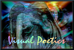  Visual Poetics Group AWARD ; 