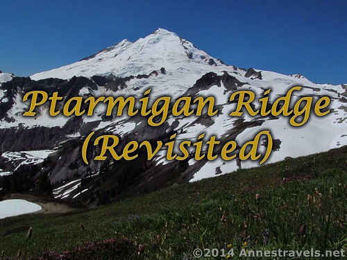 Views along Ptarmigan Ridge, Mt. Baker Wilderness, Washington