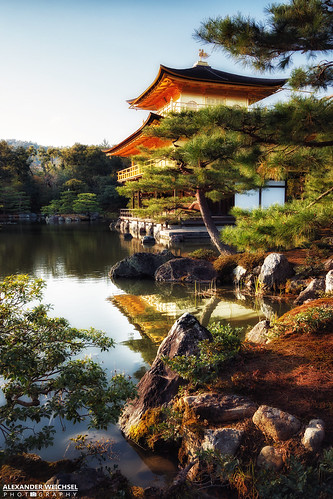 sunset water japan garden temple japanese golden buddhism