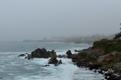 Foggy Pacific Grove Coast