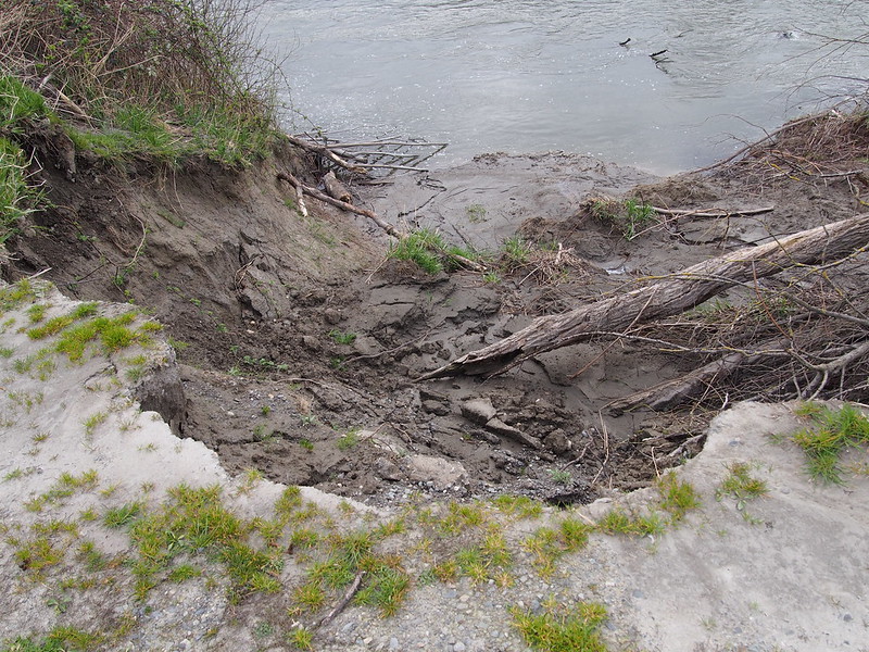 Norman Road Washout: The Stillaguamish River was among the many rivers to wash stuff out during our record Winter.