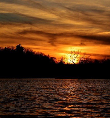 sunset reichards lake westsandlake ny new york rensselaer upstate 518 clouds sun tree silhouette water orange kayak rgrennan rwgrennan ryan grennan nikon d610