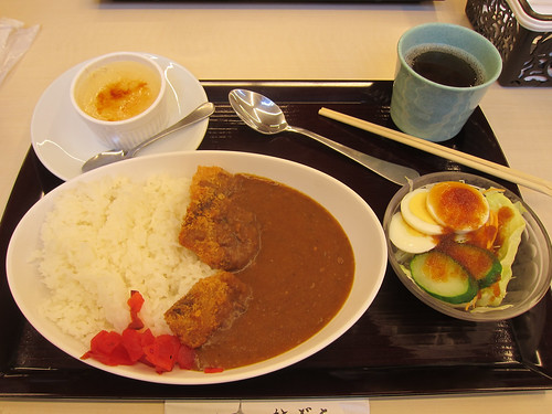 japan lunch curry jp kochi hatagun kōchiken