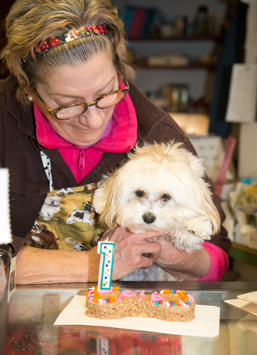 Joanne Elliott of Matilda's Dog Bakery with a special treat for Pip!!
