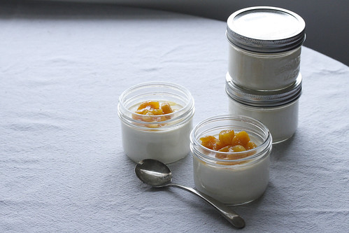Ginger Panna Cotta with Apricot Compote