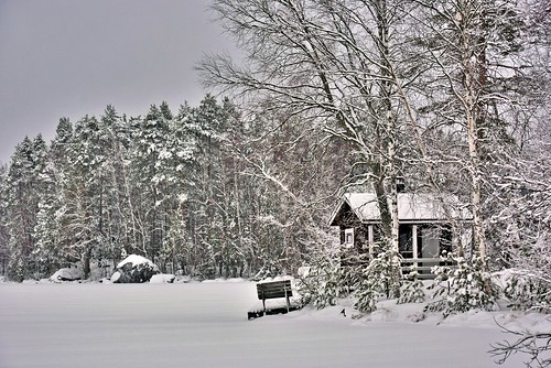 trees winter snow weather finland cabin outdoor