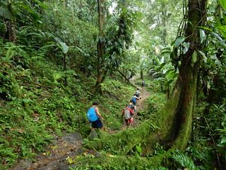 Trekking to the Lost city