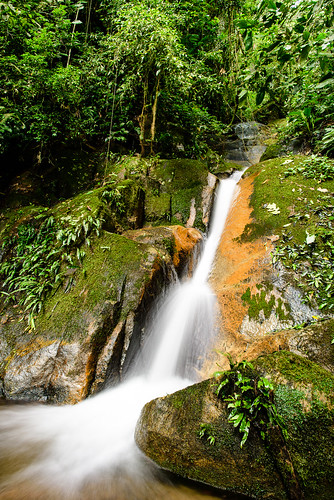 ranch brazil sc nature brasil waterfall natureza sítio cachoeira saofranciscodosul