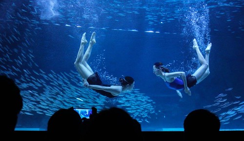 Seoul COEX Aquarium