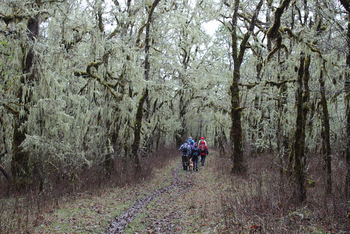park county oregon oakland hiking douglas mildred kanipe