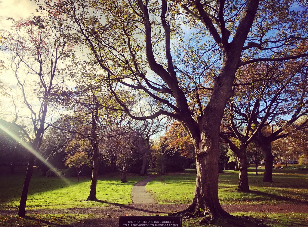 Why to study abroad? Meadows in Edinburgh