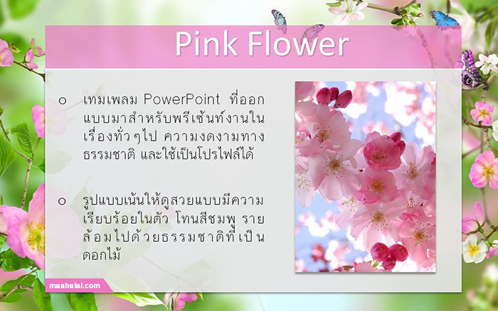 PowerPoint Flower Pink