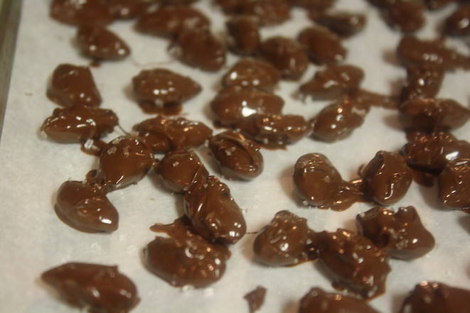 Dark Chocolate Sea Salt Coated Almonds