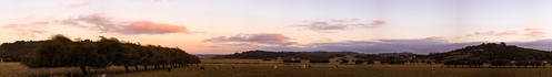 sunset panorama canon landscape 40mm t3i panorámica p40 sanvictor araucanía canont3i