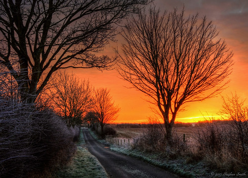uk trees winter england sunlight colour tree english nature beauty sunrise fence landscape gold dawn countryside nikon scenery frost glow natural northamptonshire january frosty fields serene countrylane tranquil hdr contrejour newton hedgerow eastmidlands 2015 grangeroad geddington d7200