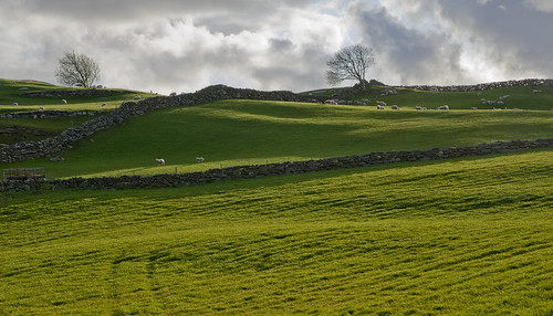 sky cloud green field norway rural norge spring nikon sheep farm grazing bru rogaland stonefence d700