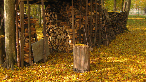 autumn nature yellow countryside colours village villade