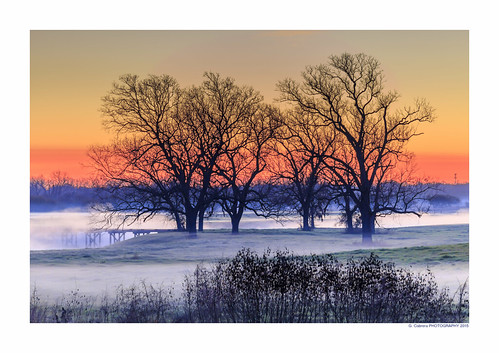 morning winter cold color nature fog sunrise canon landscape texas handheld 1001nights tamron magiccity brazosriver 70300vc bestof2015