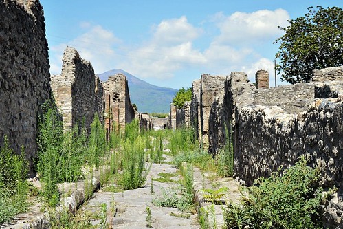 italy italia campania pompeii 1001nights pompei erigeron conyzacanadensis pompeiscavi erigeroncanadensis 1001nightsmagiccity saeppolacanadese 2015estate