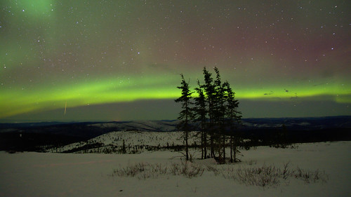 winter alaska night aurora nightsky fairbanks northernlights auroraborealis murphydome