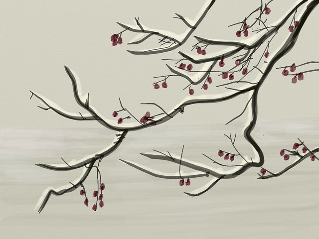 Winter blossom