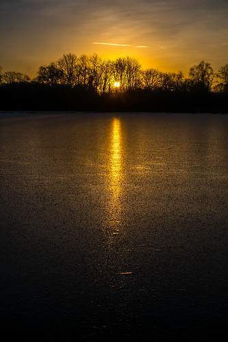 trees winter sun lake cold ice water silhouette sunrise 35mm landscape pond frost fuji norfolk wayland thompson watton xe1 frezing