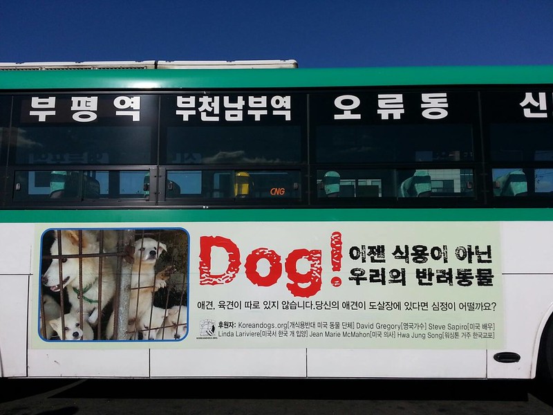 Nami Kim Team’s Bus Advertising 2016