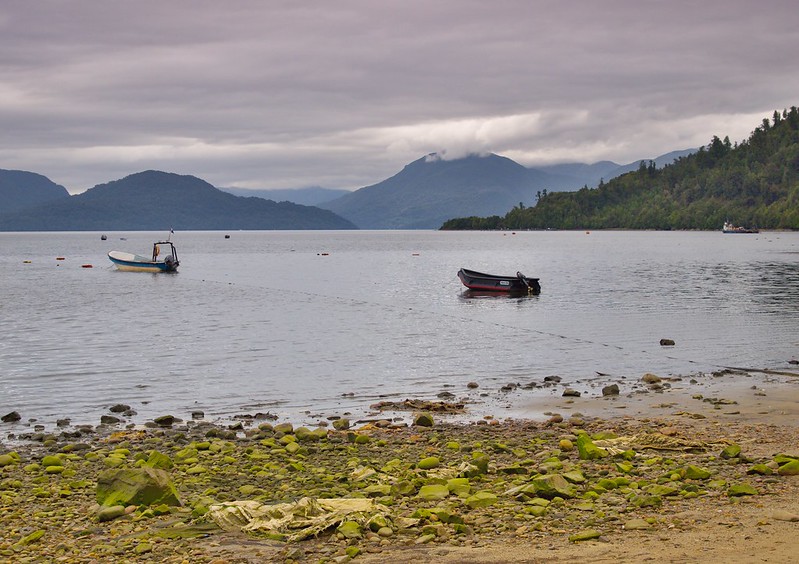 Ruta Austral: De Puerto Aysén a Puyuhuapi. Puerto Cisnes. Bosque encantado - Por el sur del mundo. CHILE (9)