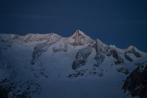 sunrise bluehour wallis skitour aletschgebiet oberaletsch nesthorn