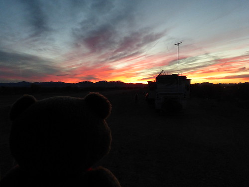 bear sunset arizona cloud teddybear quartzsite