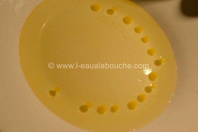Perles de Balsamique et de Citron © Ana Luthi Tous droits réservés 0013