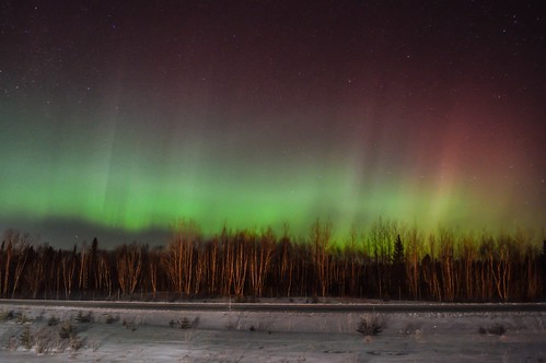 Had to stop on the side of the highway, the sky literally exploded with Aurora. Between Allardville and Bathurst NB Canada  Mar 6 2016