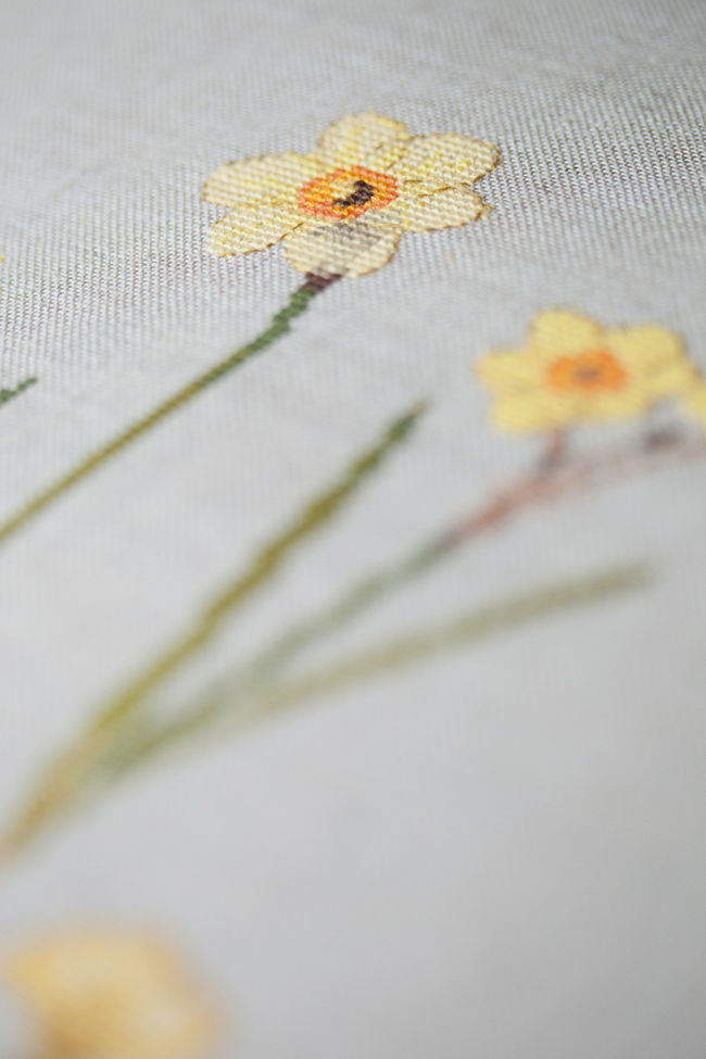 Veronique Enginger - Daffodils
