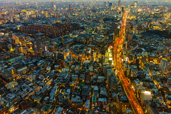 不動産投資家必見！東京の地価相場はどこが上がりそうか？