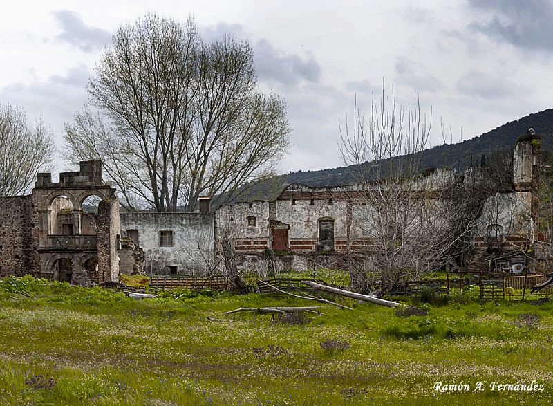 Ruinas colegio del rio en primavera 26445274600_e423409610_b