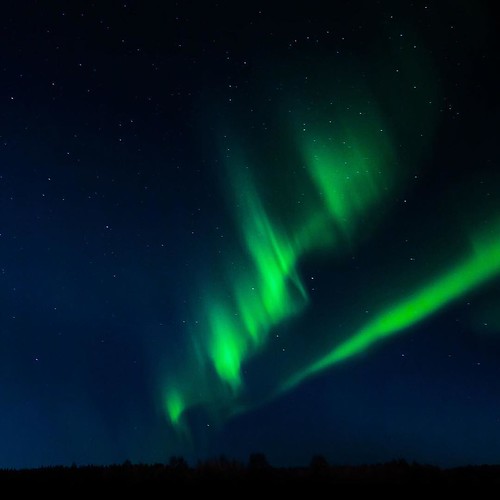 Aurora borealis, aka Nordic Light, Lofoten and Vesterålen of northern Norway. Travel photography gig for @gotravelingdk, @visitnorway and @northernnorway  #norway #lofoten #vesteralen #wanderlust #auroraborealis #nordiclight #landscape #adventure